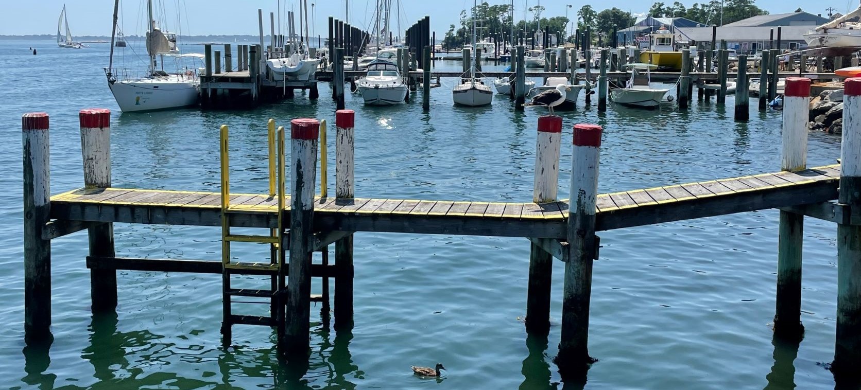 Charming Seaside Mystic, CT and Area: It's So Worth the Trip